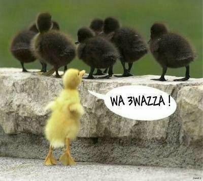 lool
